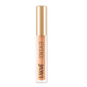 Lakme Powerplay Priming Concealer Built in Primer, Hydrating, Conceals Dark Circles 20 Nude, 5.4ml (Fashionista Collection)