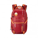 Safari 51 cms Wine Casual/Travel Large Rucksack (CRUISE40L20OBWIN)