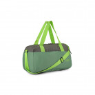 Skybags Active Nxt 25cm PU Cabin Green Duffle Bag
