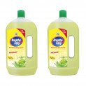 Berger BreatheEasy Disinfectant Surface & Floor Cleaner (1L, Pack of 2)