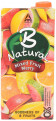 Loot For Bengaluru : B Natural Juice, Mixed Fruit Merry, 1 L Carton