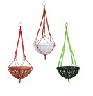 Upto 60% Off On Novicz Pot