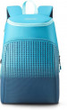 American Tourister Backpack For Flat Rs.299