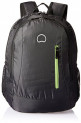 Delsey Nice 22 Ltrs Black Backpak
