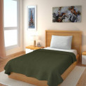 IWS Solid Single Fleece Blanket