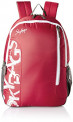 Skybags Red Casual Backpack (BPBRA9ERED)