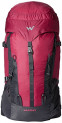 Wildcraft 40 Ltrs Pink Rucksack (8903338074120)